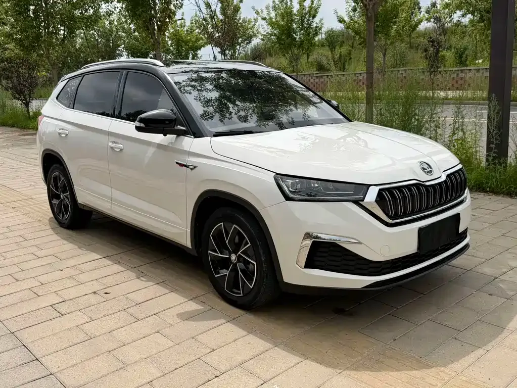 Skoda Kamiq — фото 7