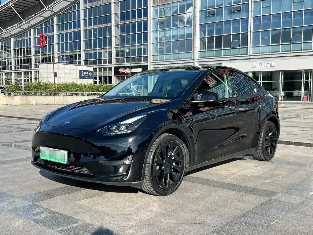 Tesla Model Y — фото 1
