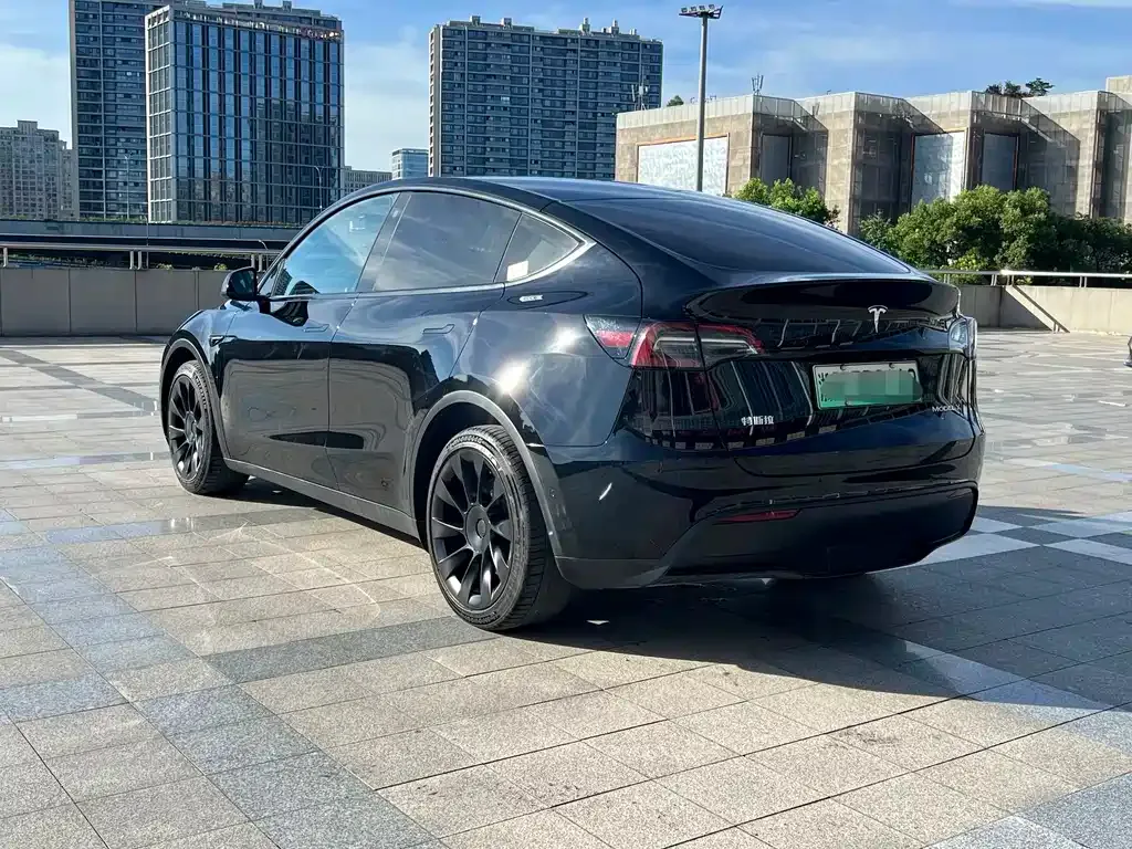 Tesla Model Y — фото 6