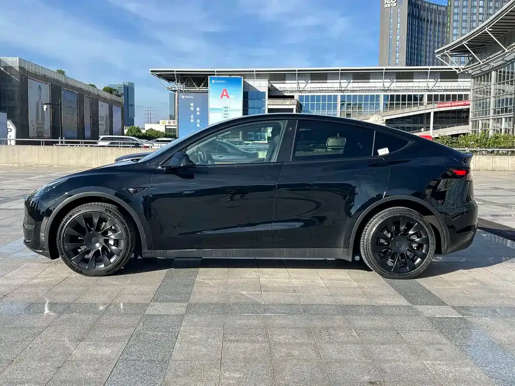 Tesla Model Y — фото 7