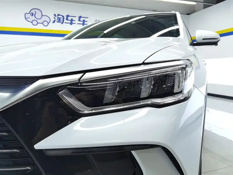 BYD Pro New Energy — фото 4