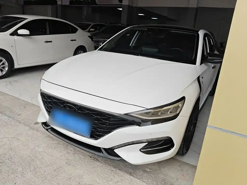 Hyundai Fista — фото 1