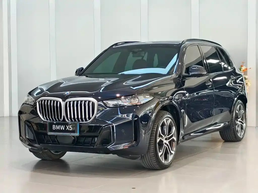 BMW X5 — фото 1