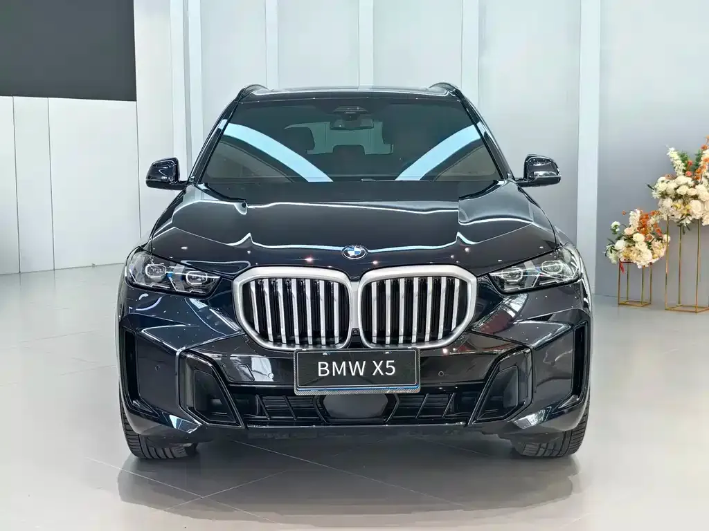 BMW X5 — фото 2