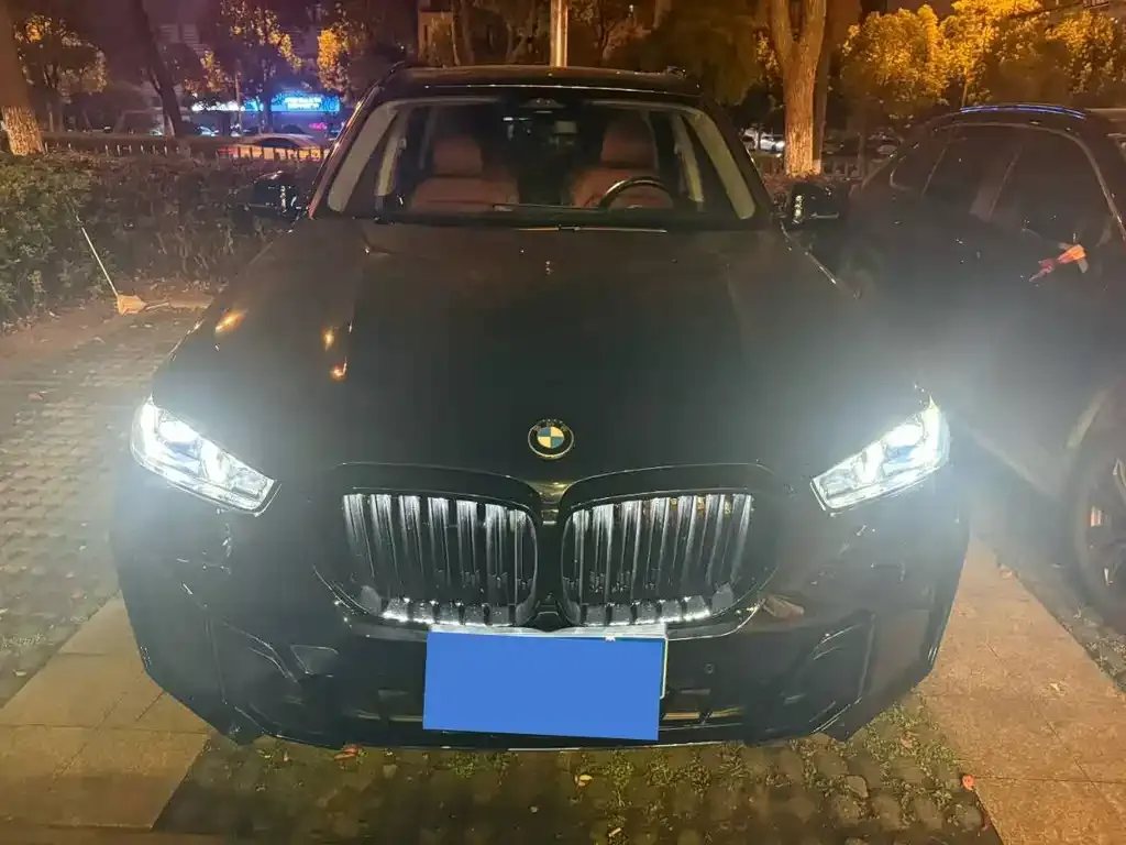BMW X5 2024 из CN, фото 6