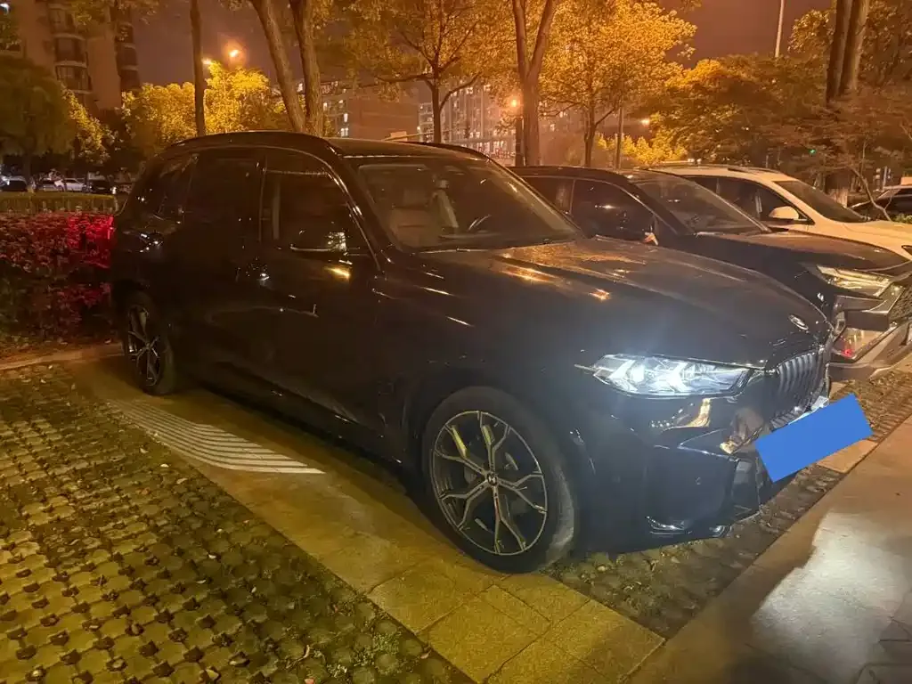BMW X5 2024 из CN, фото 3