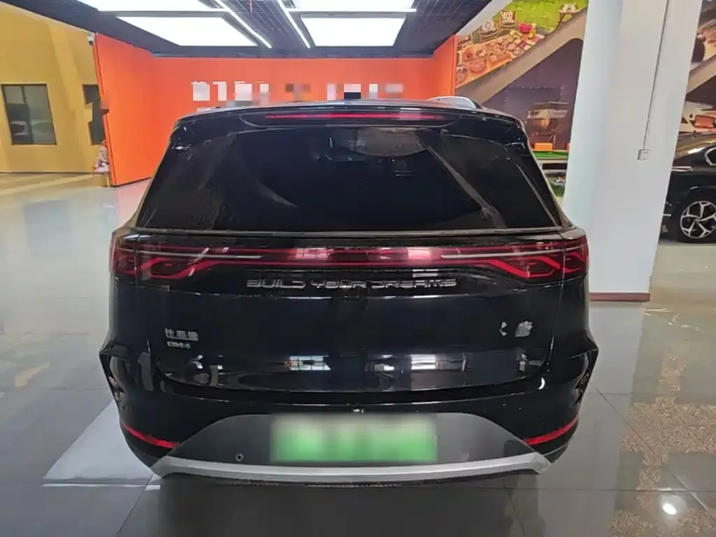 BYD Tang New Energy — фото 2