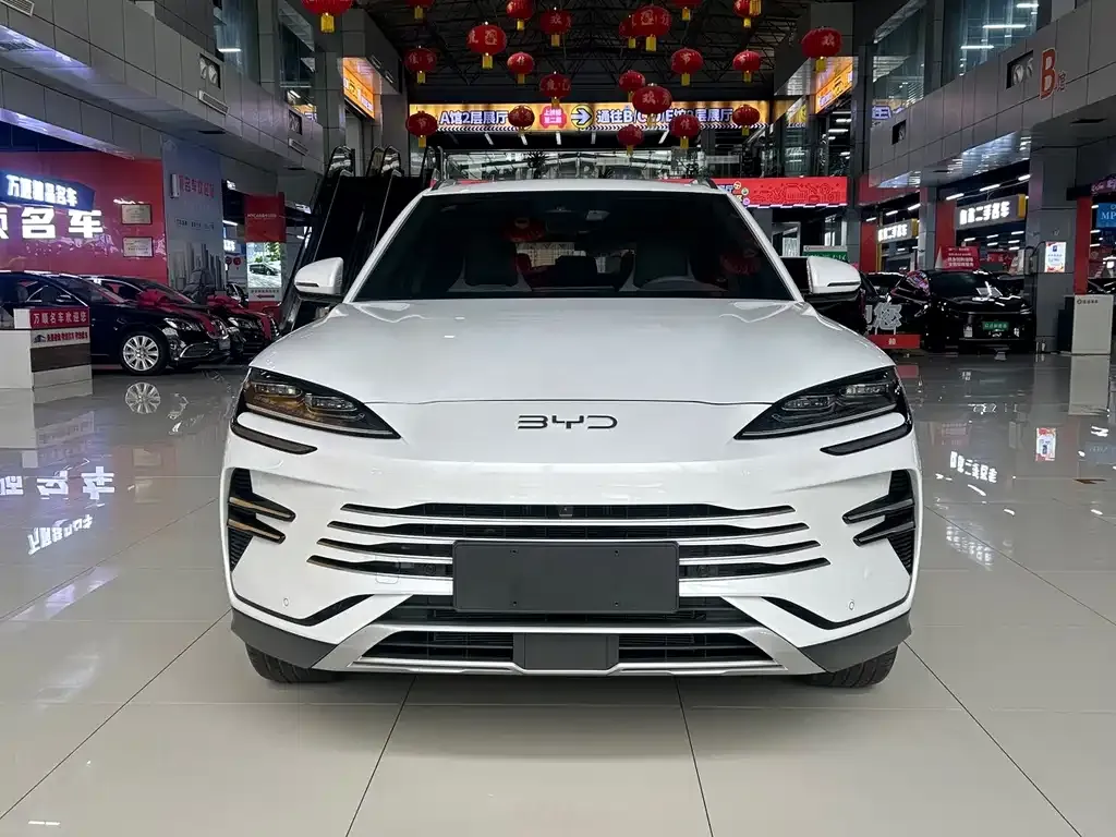 BYD PLUS New Energy — фото 9