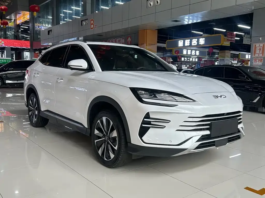 BYD PLUS New Energy — фото 7