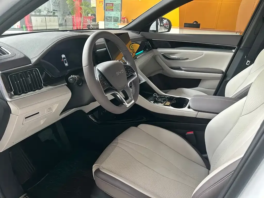 BYD PLUS New Energy — фото 10