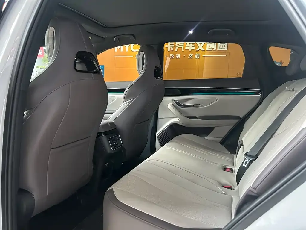 BYD PLUS New Energy — фото 8