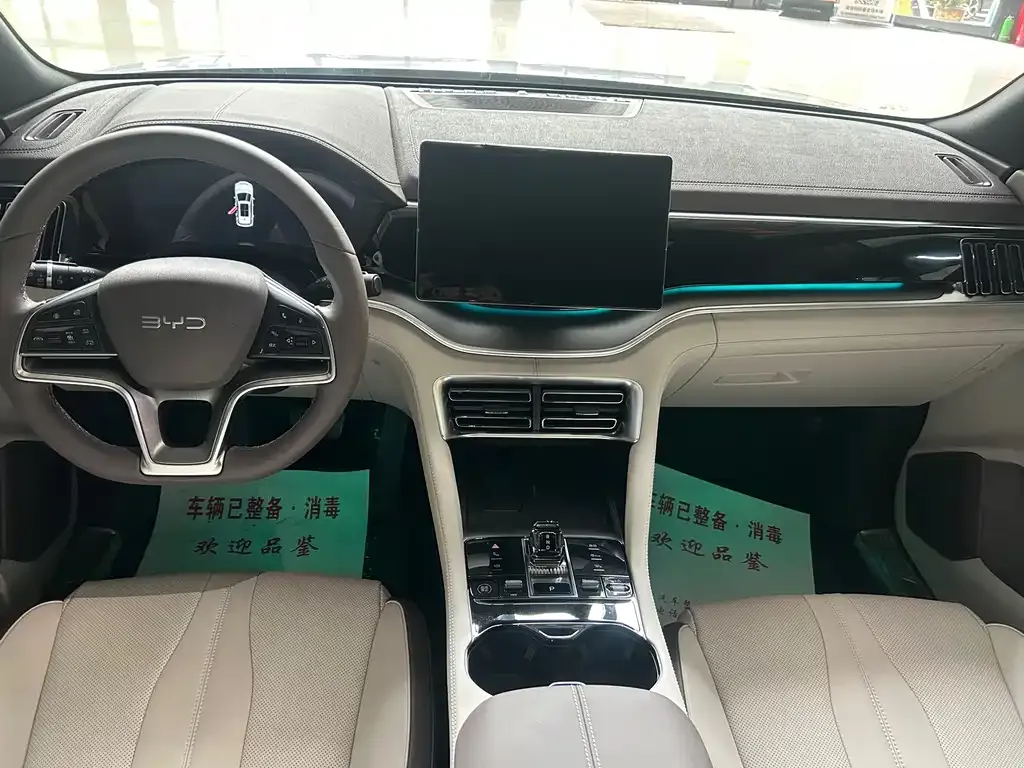 BYD PLUS New Energy — фото 6