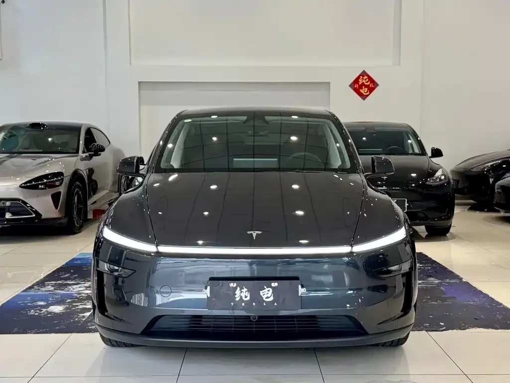 Tesla Model Y — фото 8
