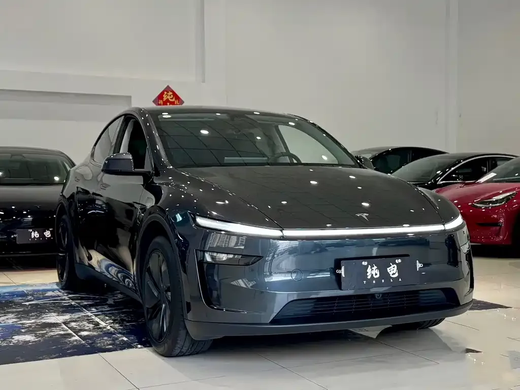 Tesla Model Y — фото 5