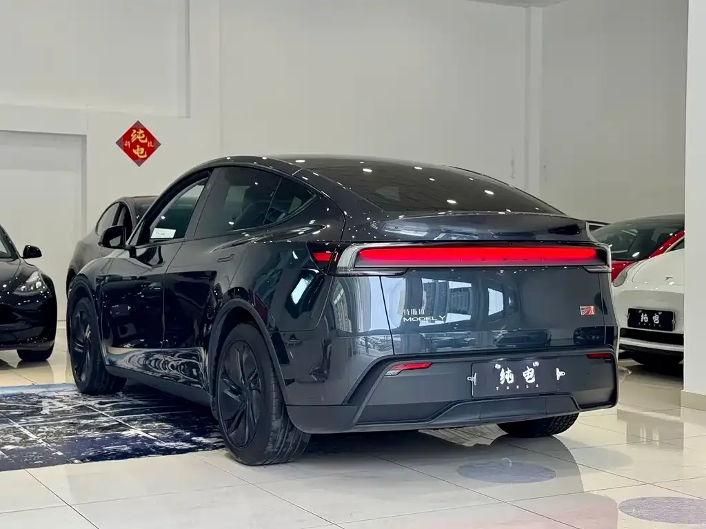 Tesla Model Y — фото 2