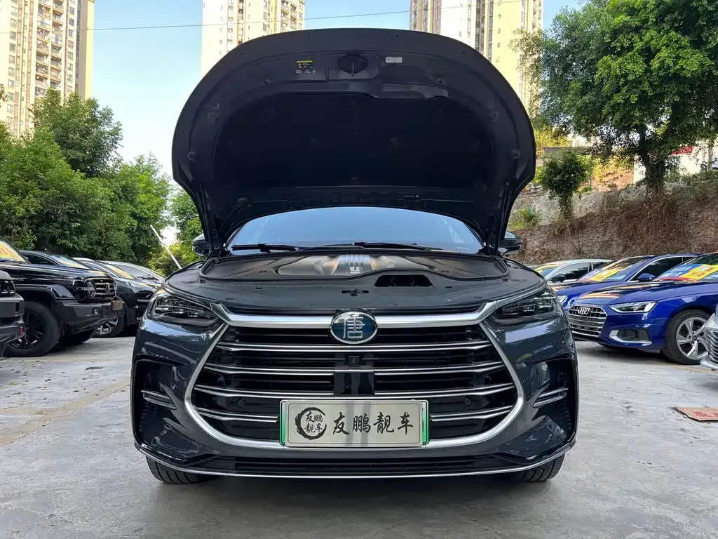BYD Tang New Energy — фото 7