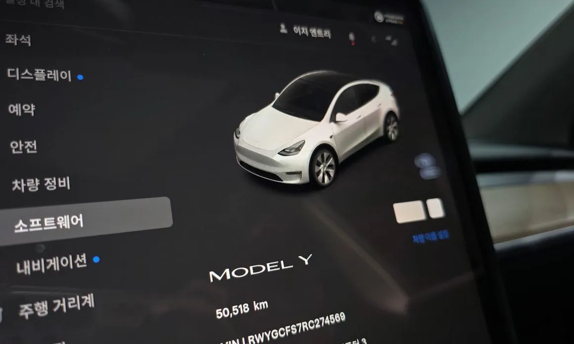 Tesla Model Y — фото 9