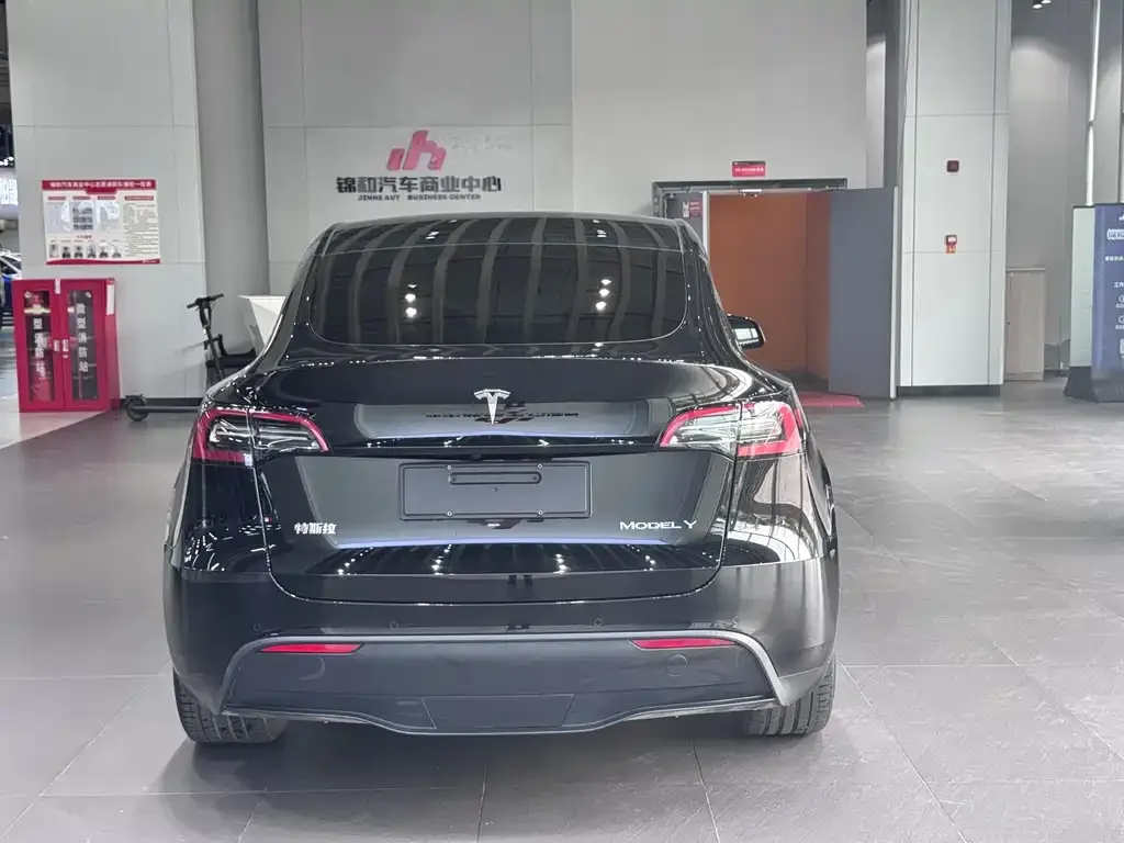 Tesla Model Y — фото 9