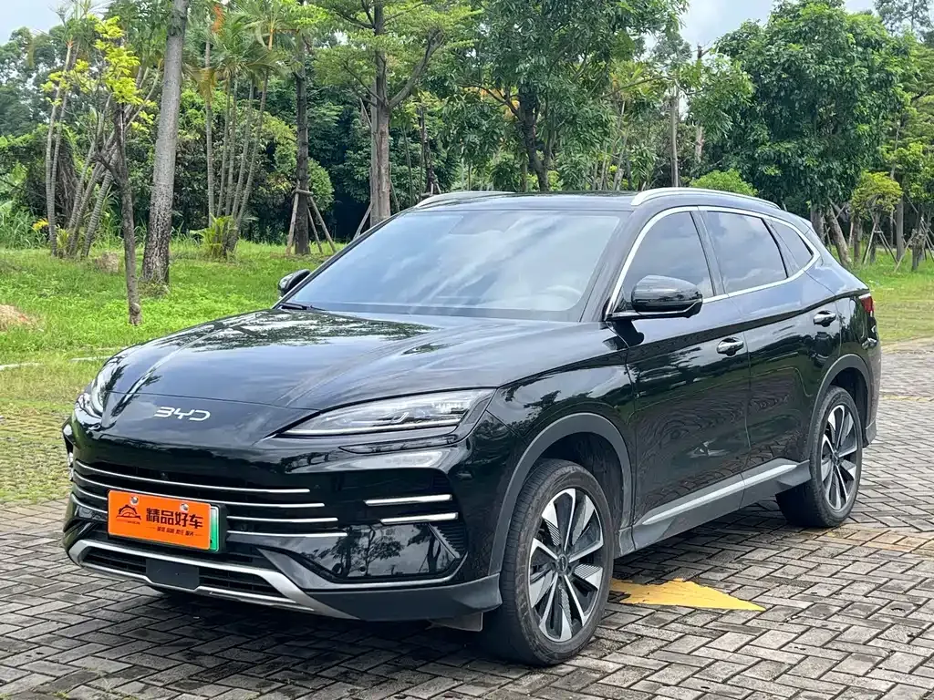 BYD PLUS New Energy — фото 1