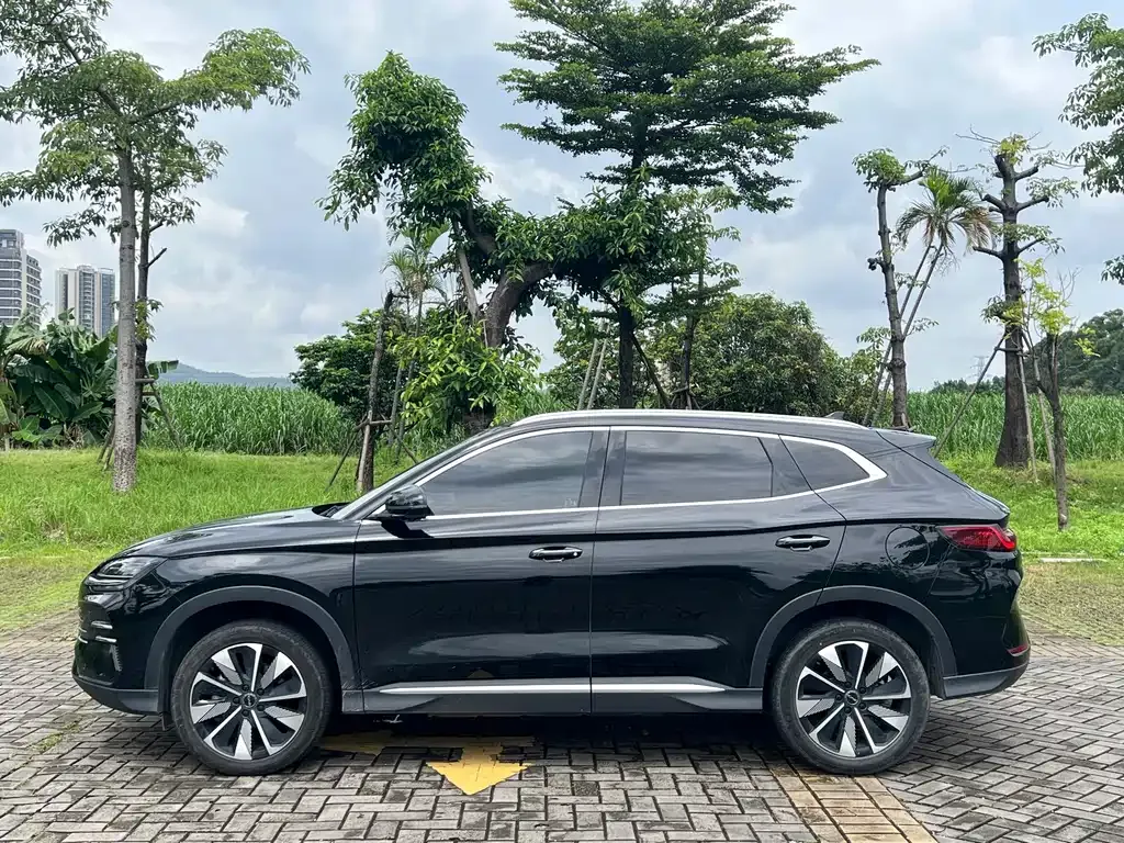 BYD PLUS New Energy — фото 10