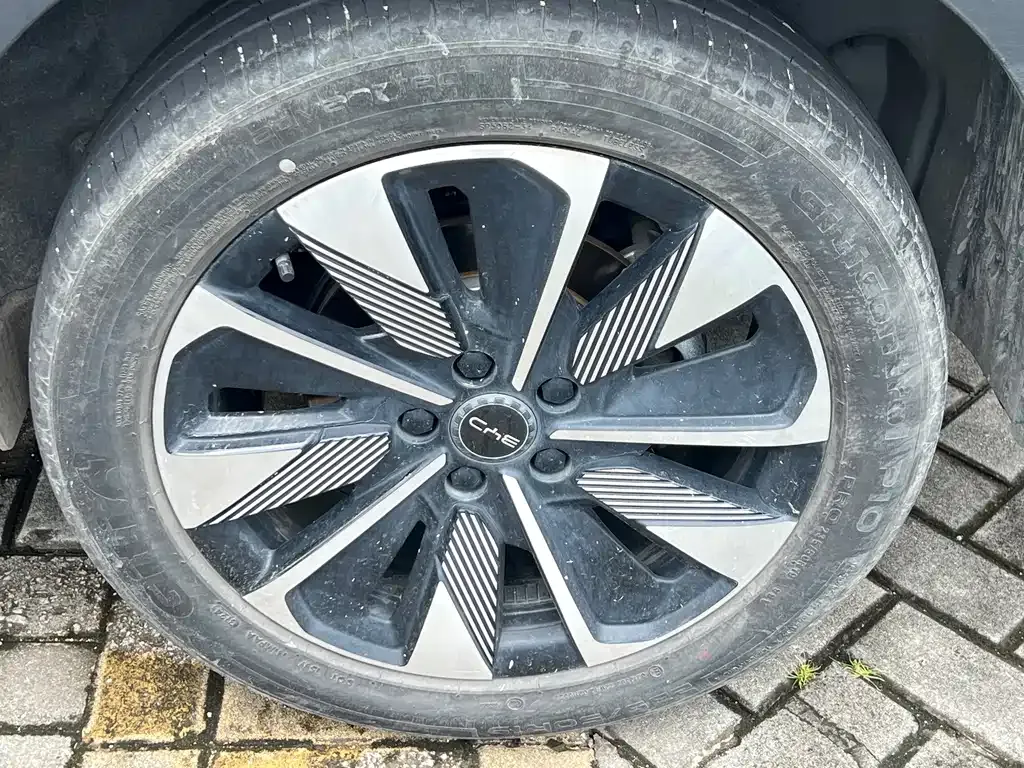 BYD PLUS New Energy — фото 8
