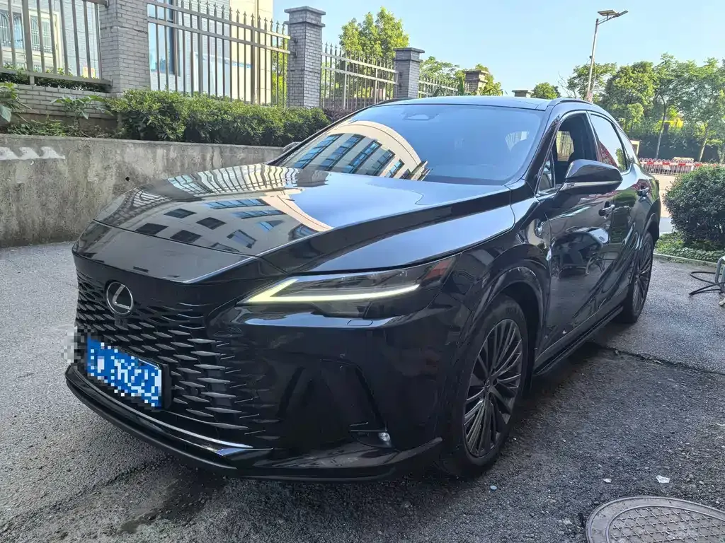 Lexus RX — фото 1