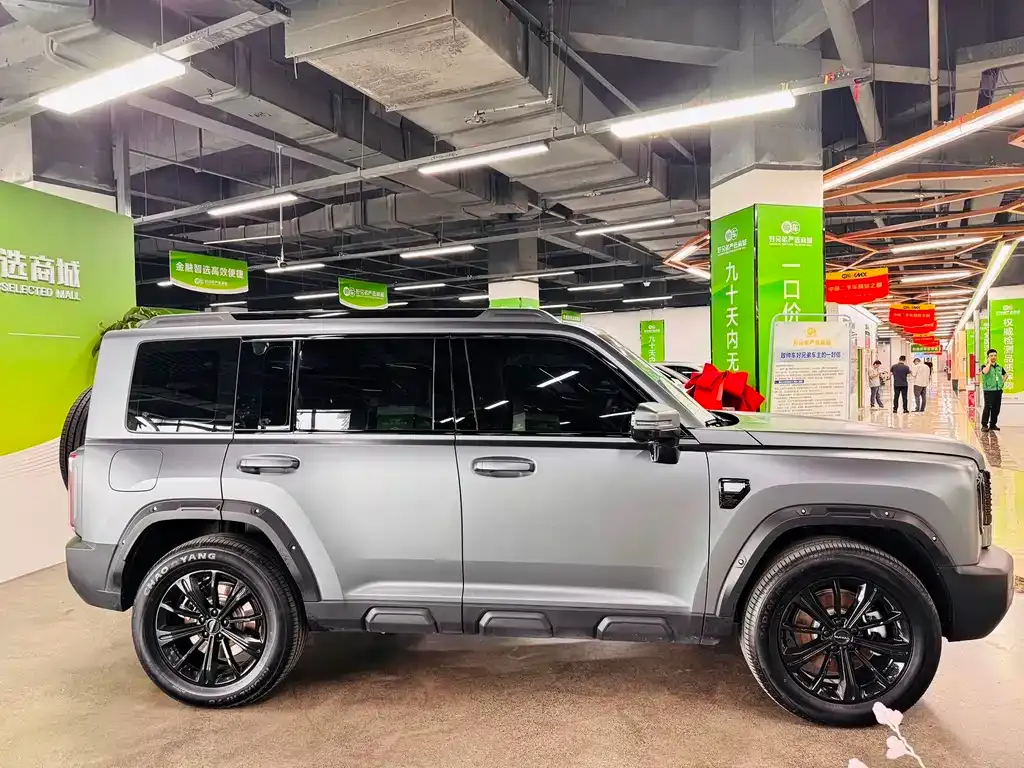 Haval Menglong New Energy — фото 7