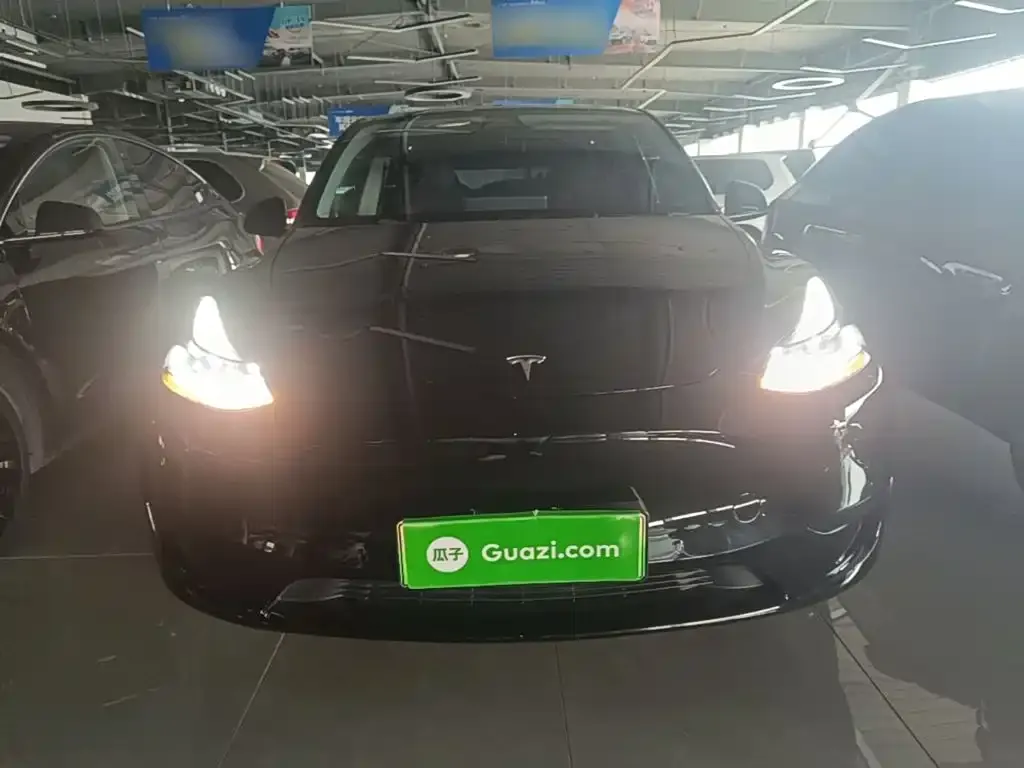 Tesla Model Y — фото 10