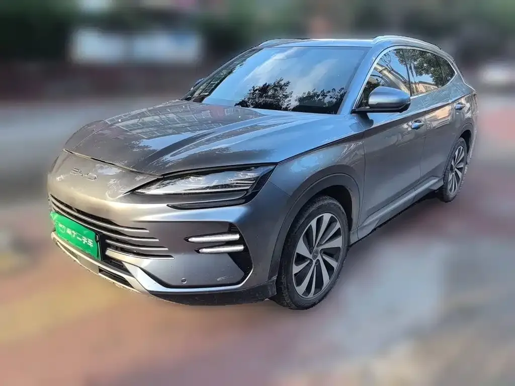 BYD PLUS New Energy — фото 1