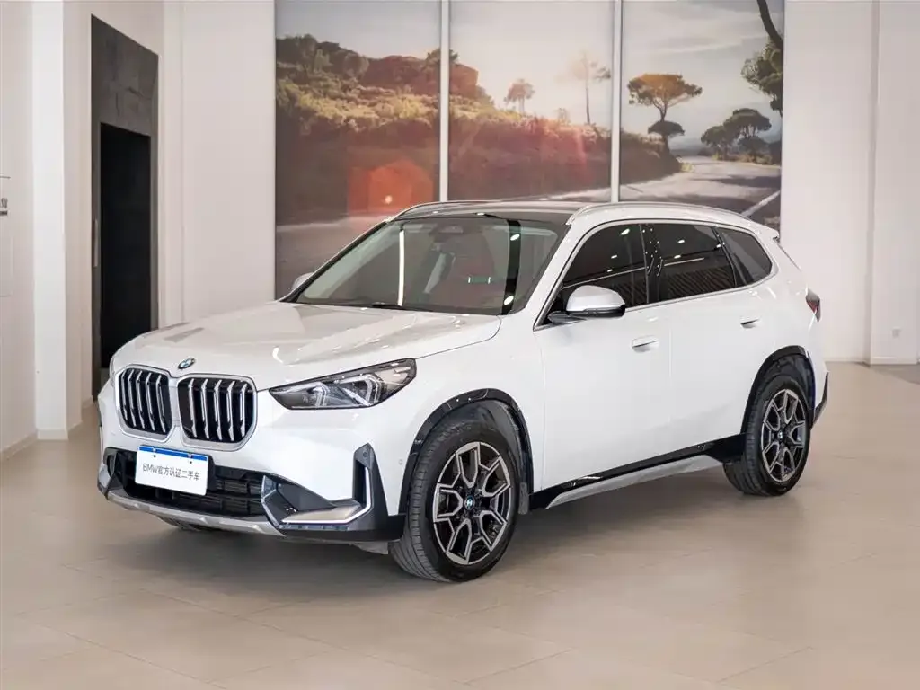 BMW X1 — фото 2