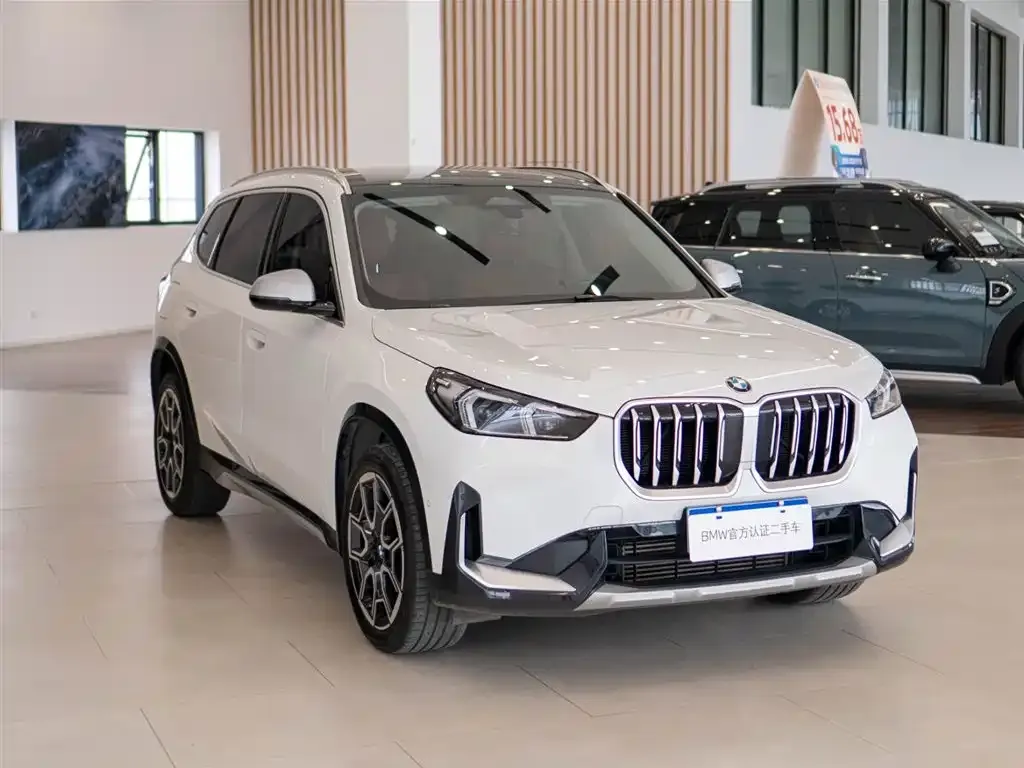 BMW X1 — фото 9