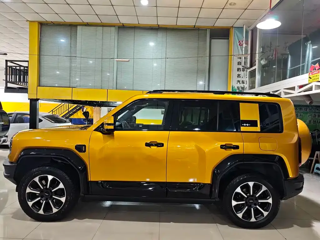 Fang Cheng Bao Leopard 5 2024 из CN, фото 10