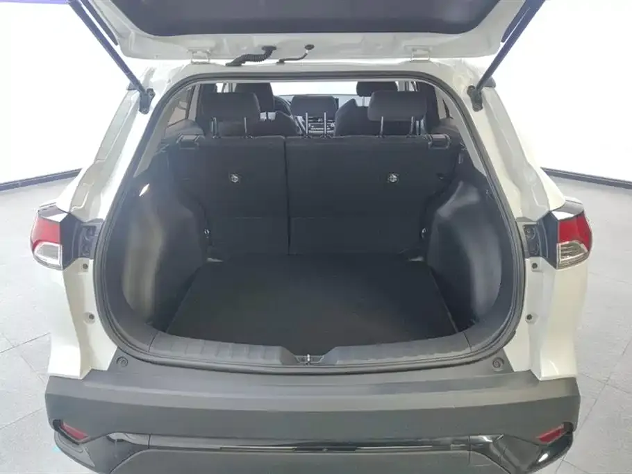 Toyota Frontlander 2024 из CN, фото 6