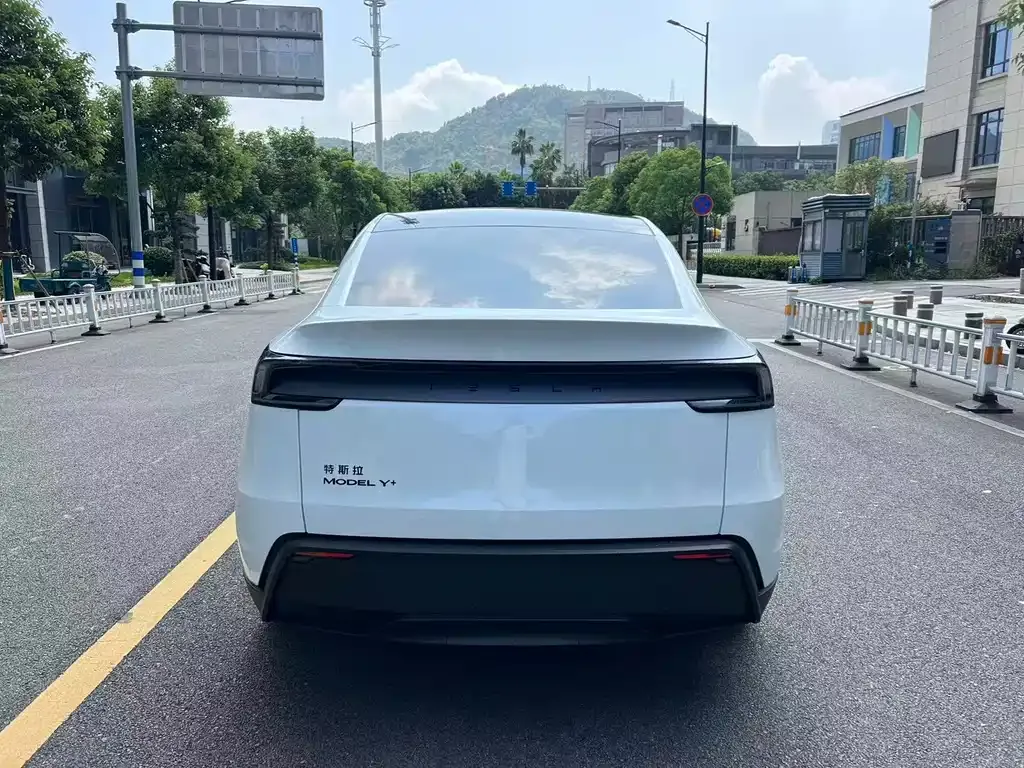 Tesla Model Y — фото 10