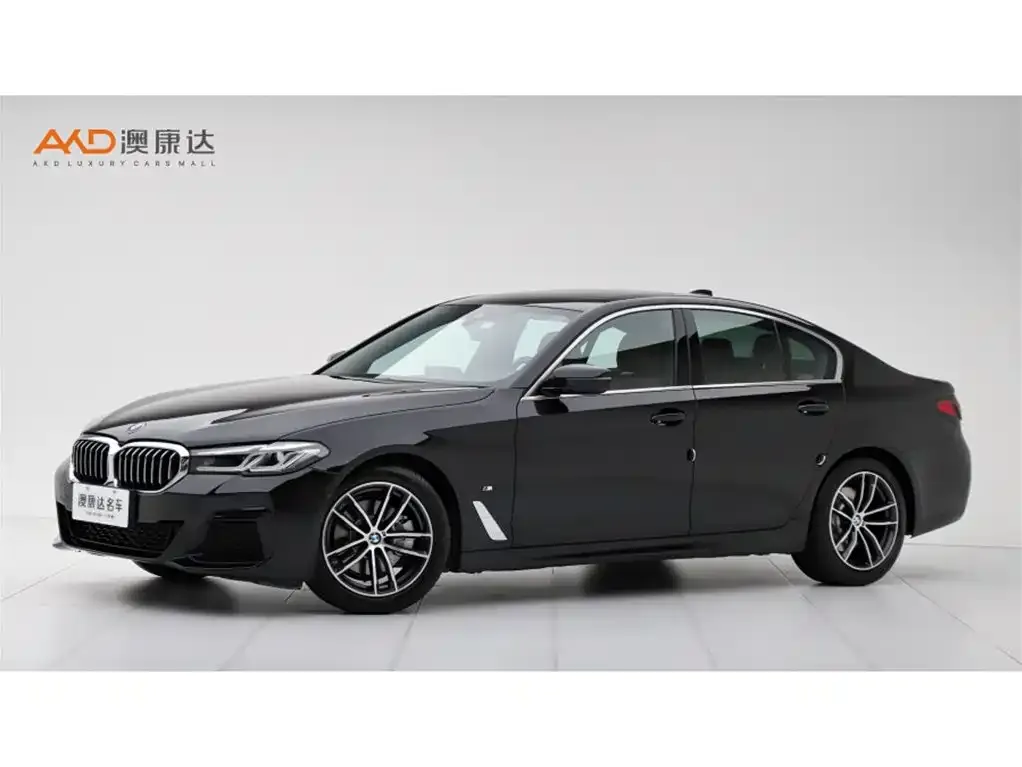 BMW 5 Series (Import)