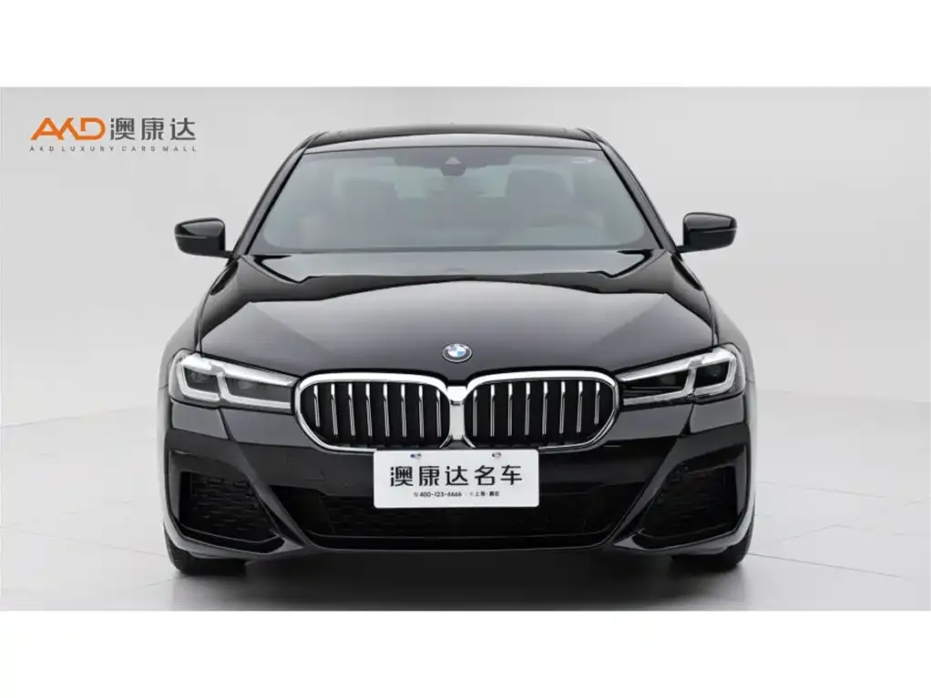 BMW 5 Series (Import) 2023 из CN, фото 8