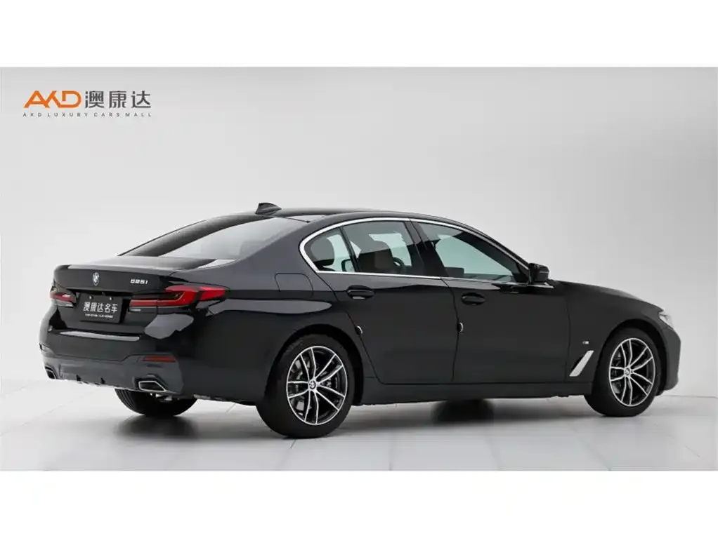 BMW 5 Series (Import) 2023 из CN, фото 4