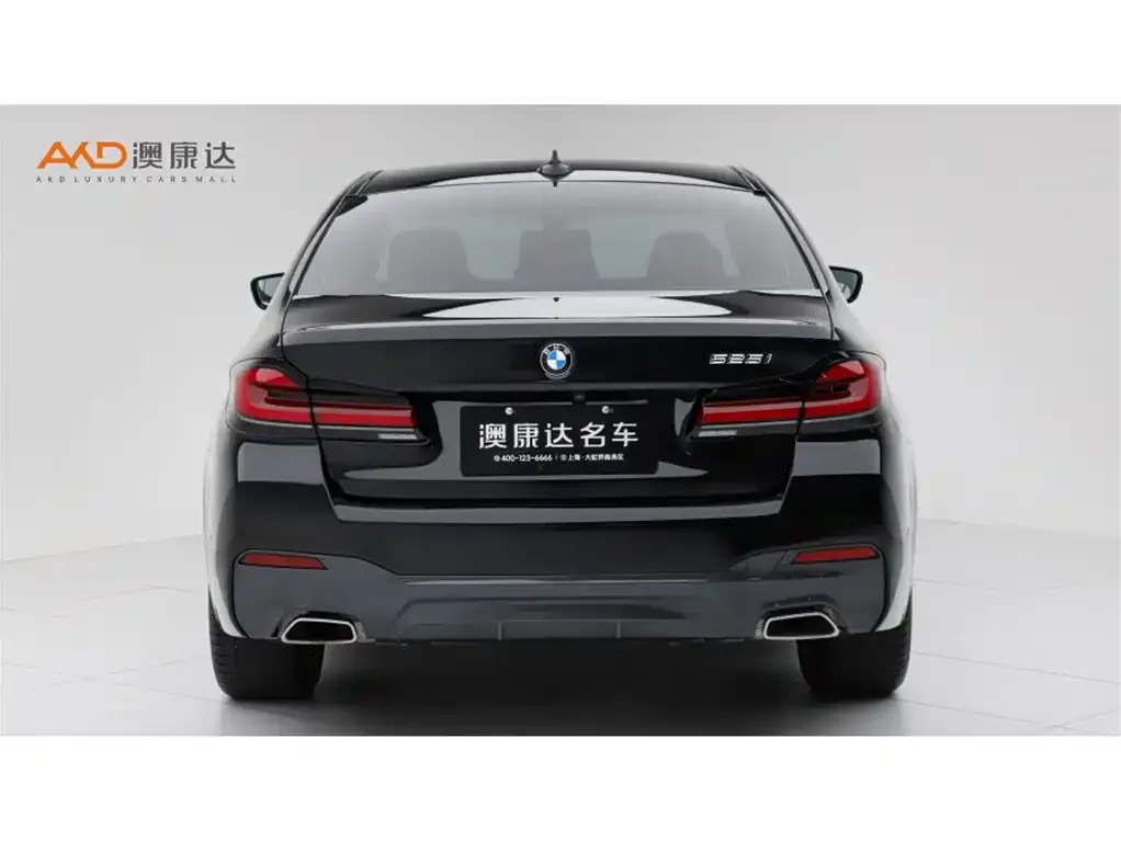 BMW 5 Series (Import) 2023 из CN, фото 9