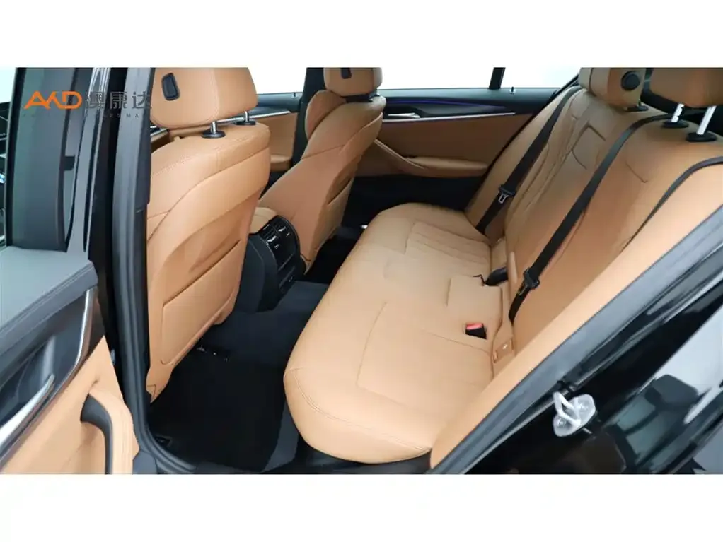 BMW 5 Series (Import) 2023 из CN, фото 3
