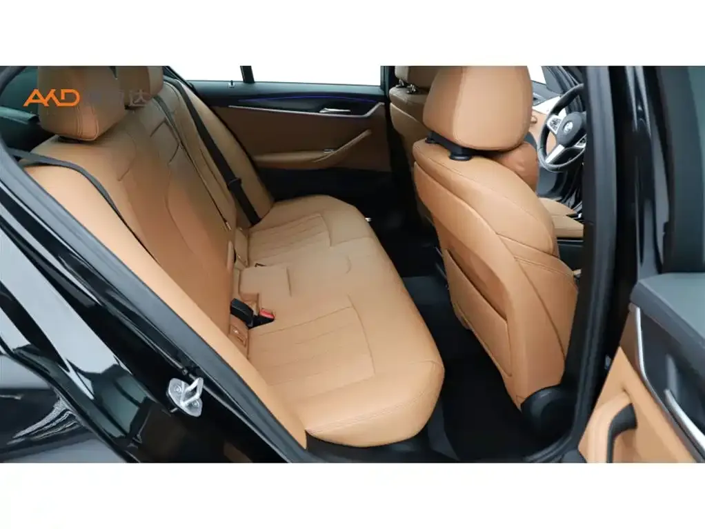 BMW 5 Series (Import) 2023 из CN, фото 10