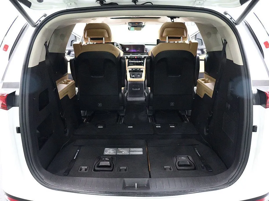 Kia Carnival — фото 6