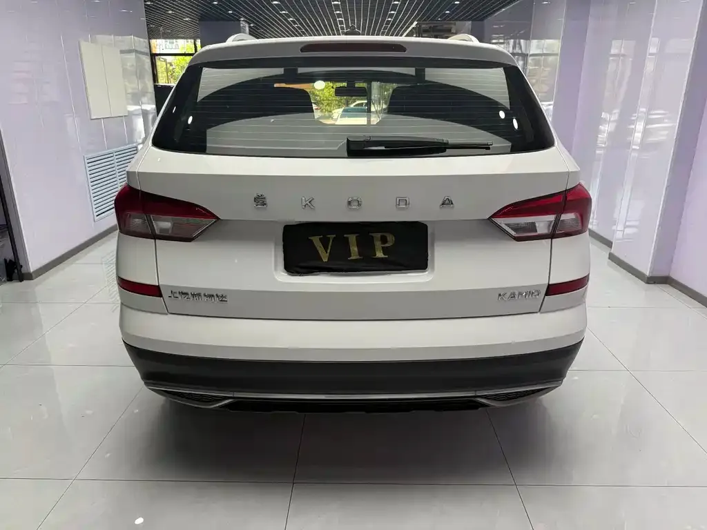Skoda Kamiq 2022 из CN, фото 5