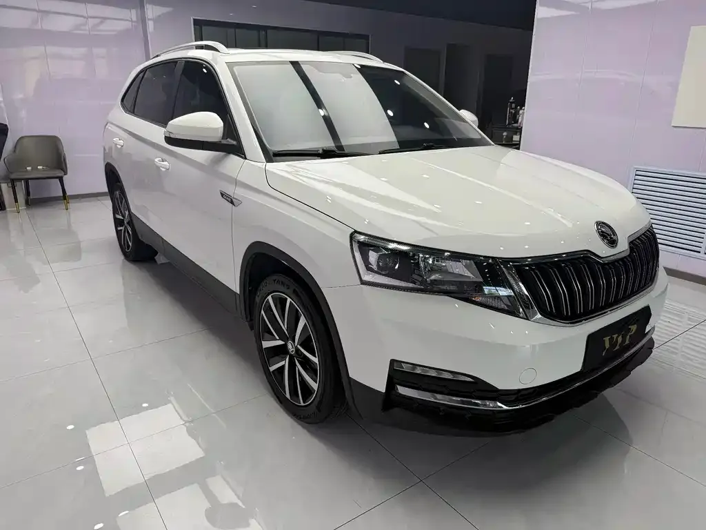 Skoda Kamiq 2022 из CN, фото 9