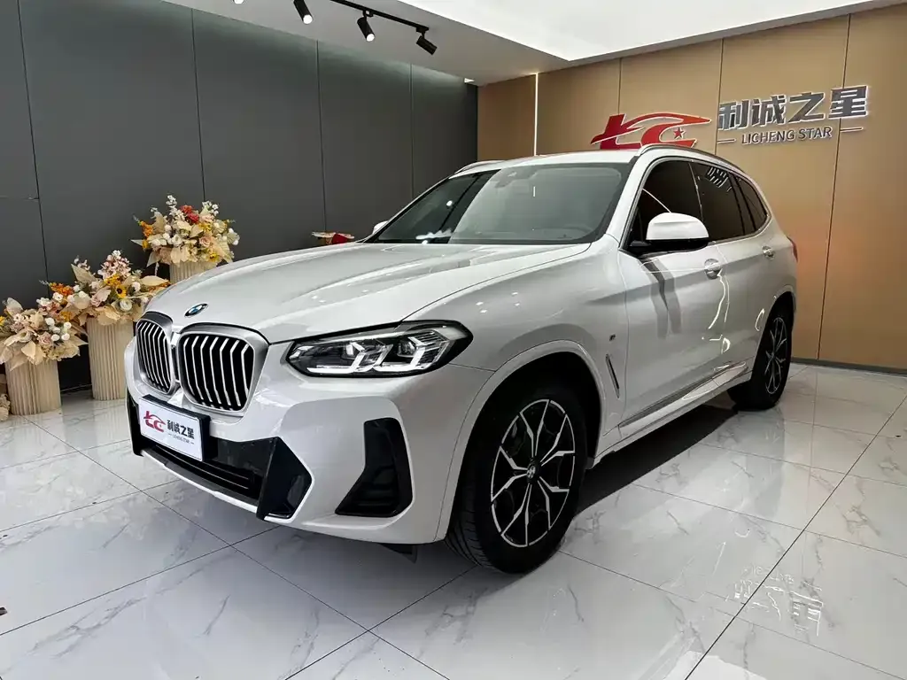 BMW X3 — фото 1