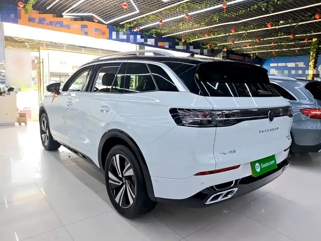 Volkswagen Tavendor 2024 из CN, фото 10