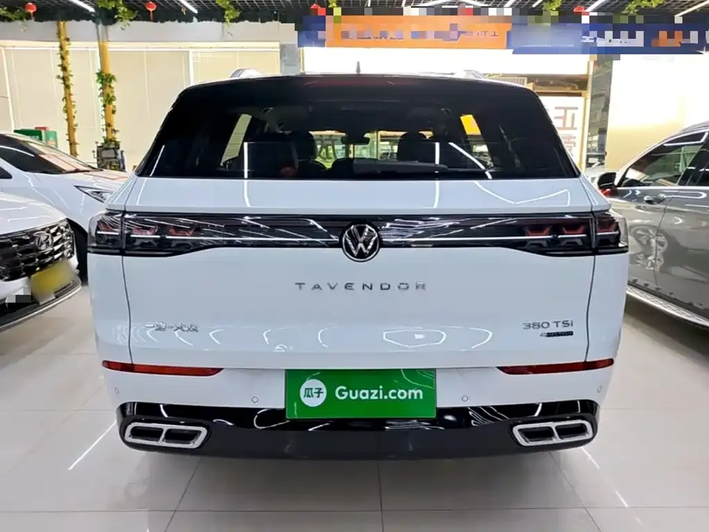 Volkswagen Tavendor 2024 из CN, фото 3