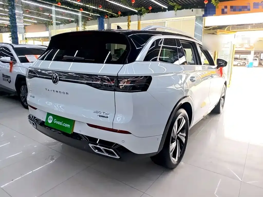 Volkswagen Tavendor 2024 из CN, фото 8