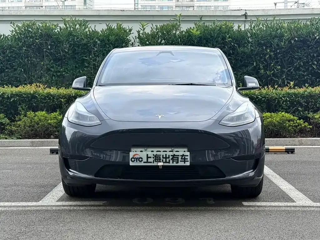 Tesla Model Y — фото 6