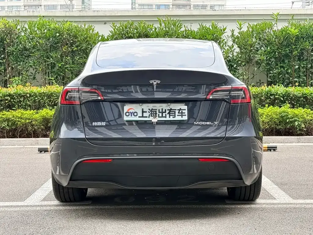 Tesla Model Y — фото 9