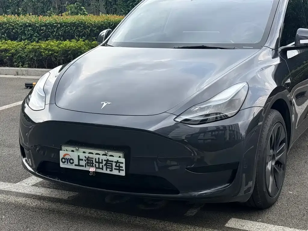 Tesla Model Y — фото 5